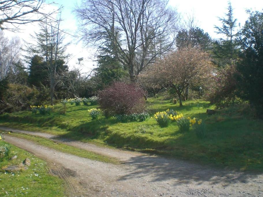Innisfreedom Cabin Sligo Exterior foto
